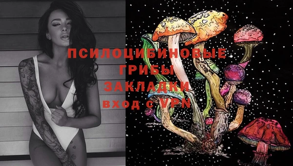 МДПВ Алзамай