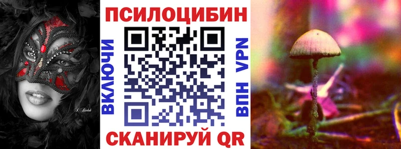 Псилоцибиновые грибы MAGIC MUSHROOMS  Шенкурск 